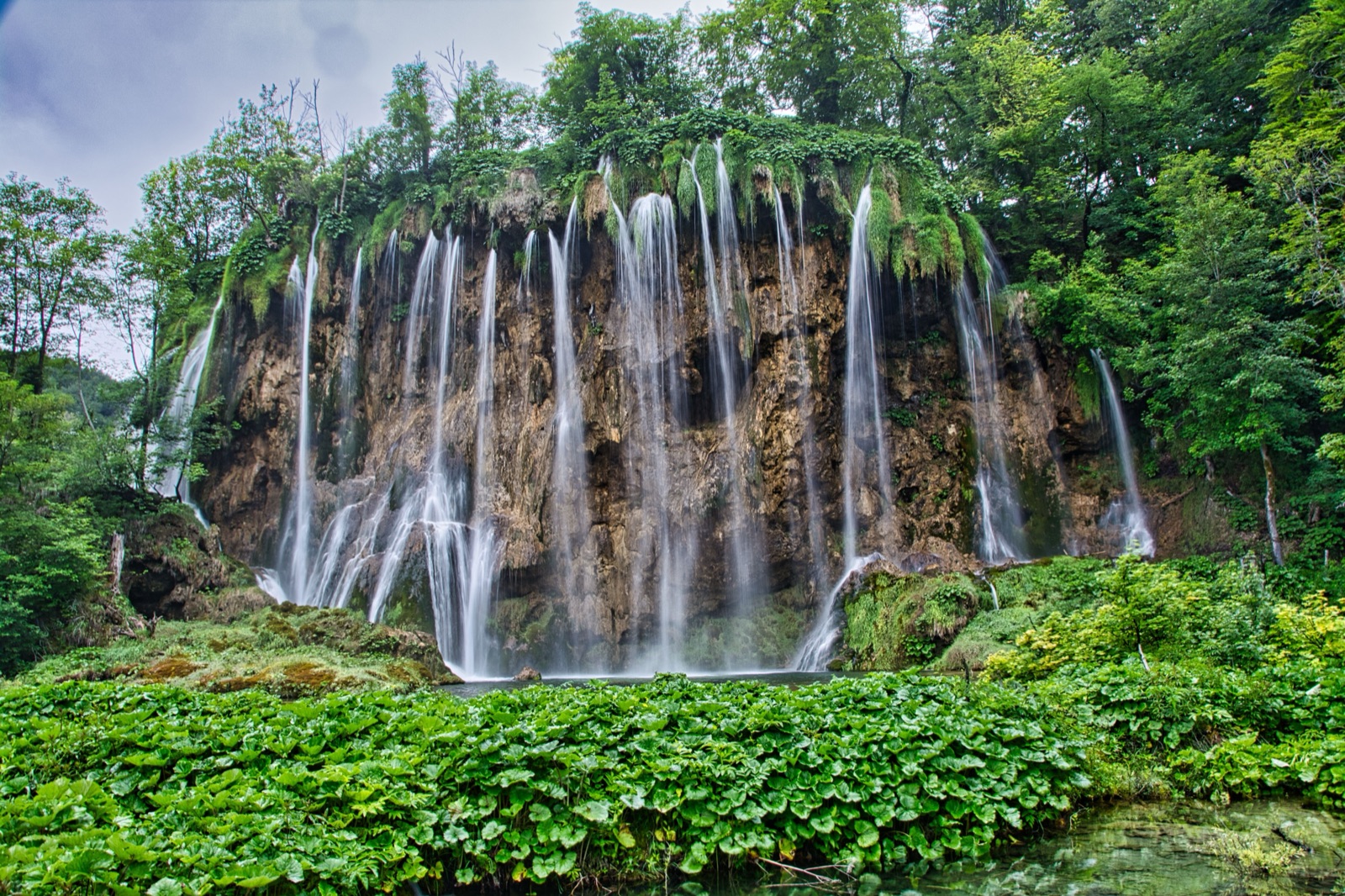 A wide curtain of waterfalls over a mossy cliff, with green plants in the foreground